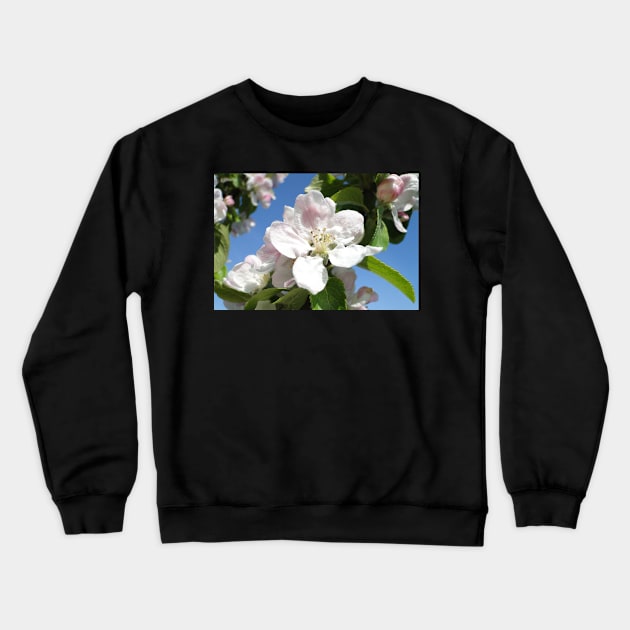 Apple Blossom Crewneck Sweatshirt by AH64D